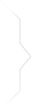 Brace